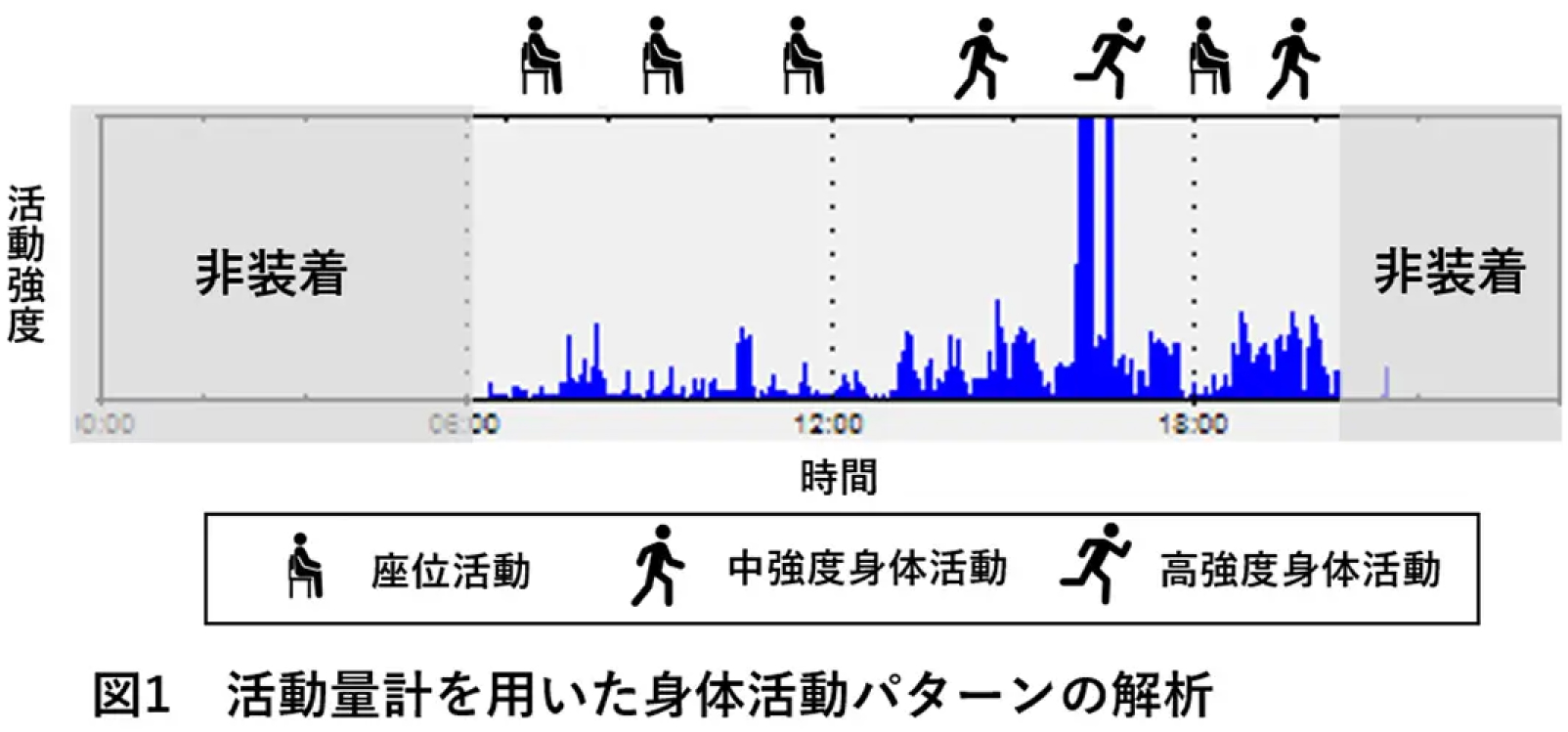 図1 活動量計を用いた身体活動パターンの解析